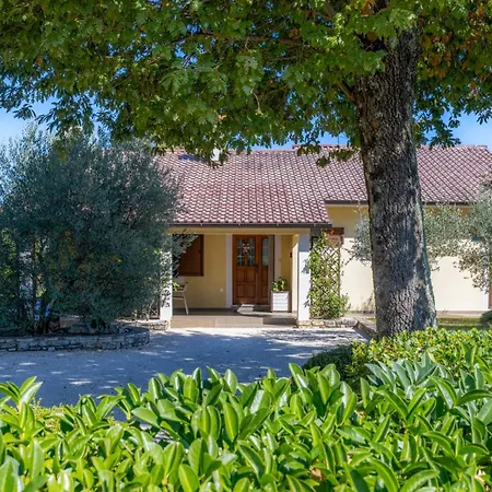 In The Heart Of Istria Villa *